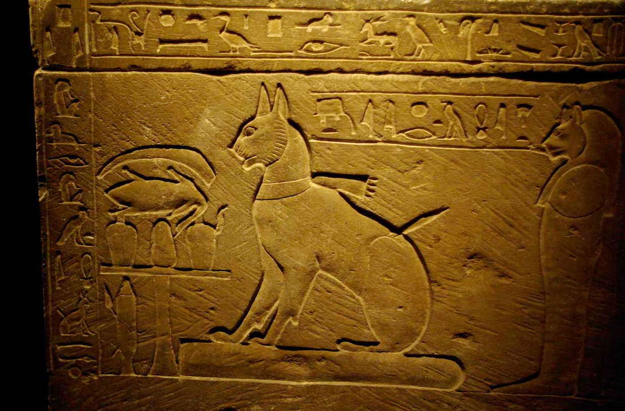  Egyptian Loved Their Cats