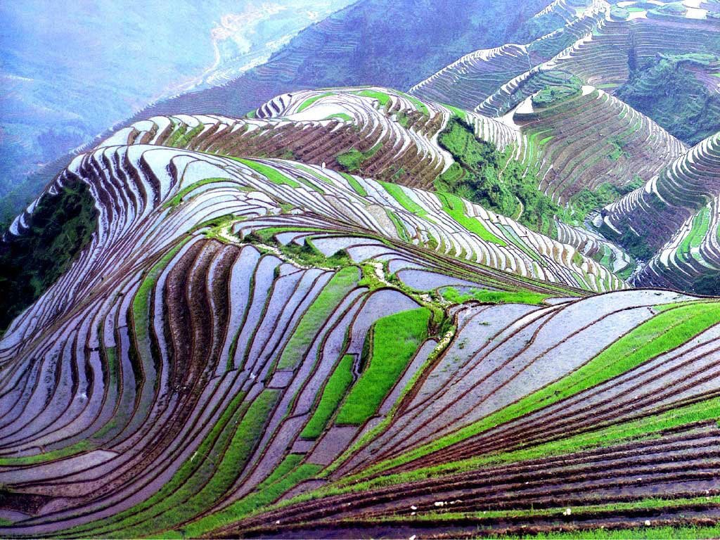  Honghe Hani Rice Terraces, Yunnan, China