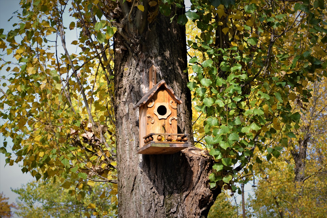  If a birdhouse is hung on a tree branch, it won’t move up the tree as the tree grows