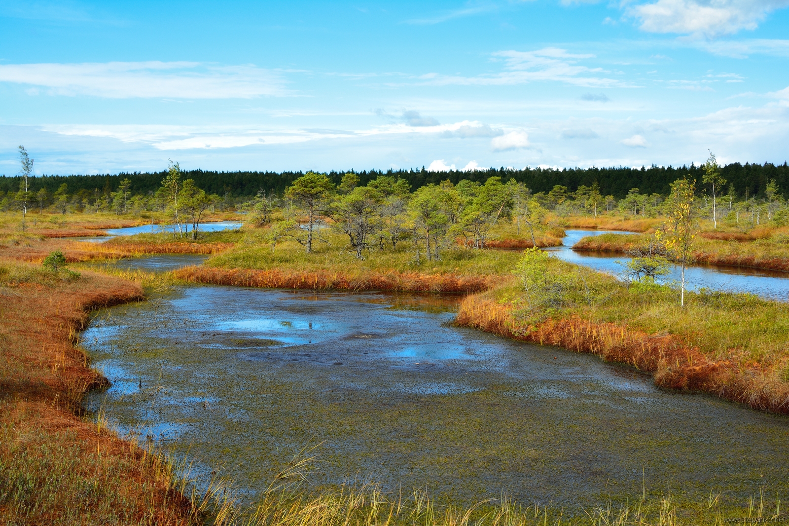 Source of peat