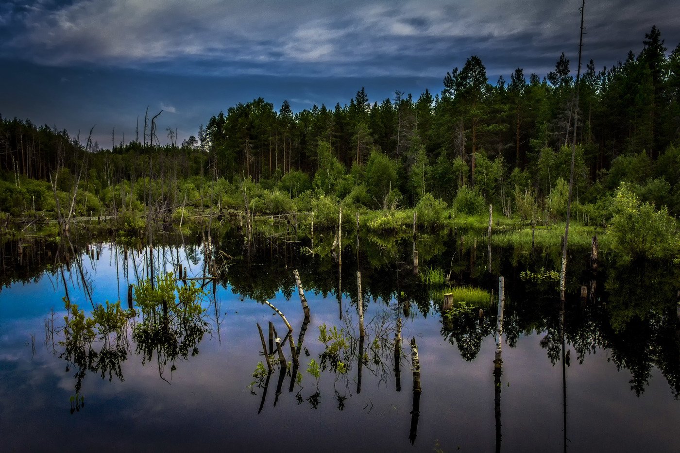 Lakes turn into swamps