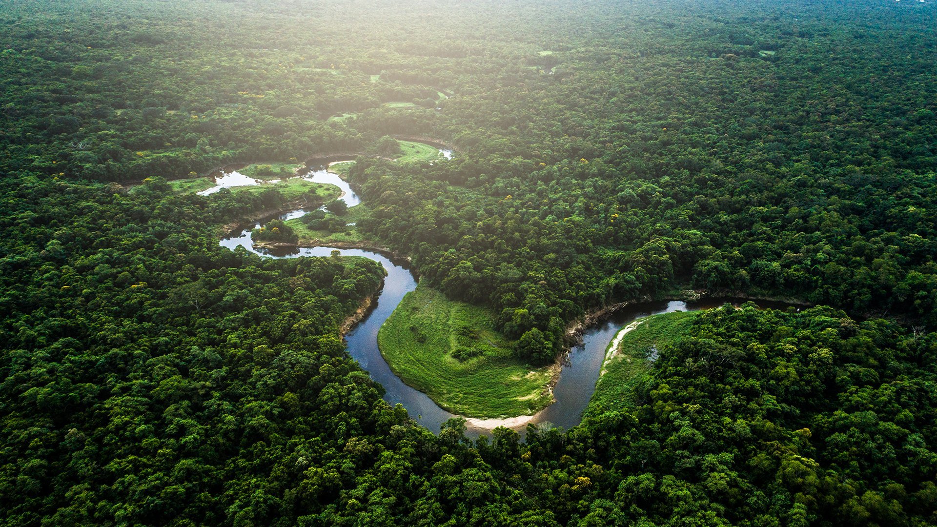 Тропические леса Амазонки остаются плодородными благодаря фосфору, который они получают из пустыни Сахара